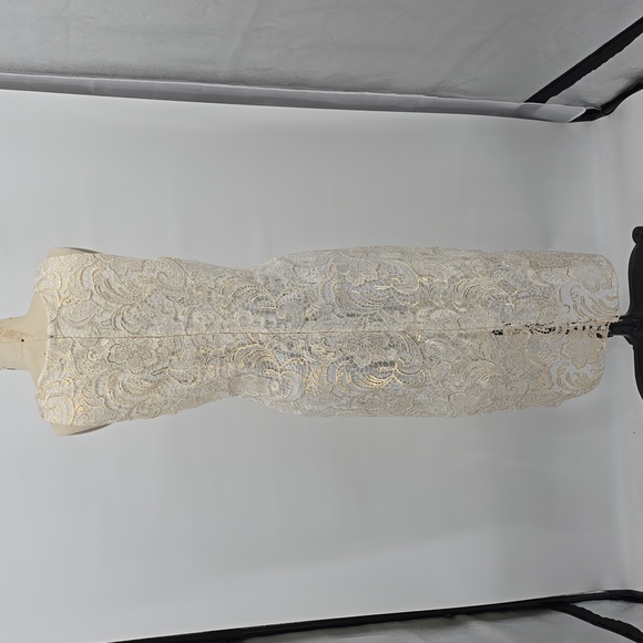 Alexia Admor Lace Sleeveless Ivory Cream Dress Size XL - Picture 4 of 9